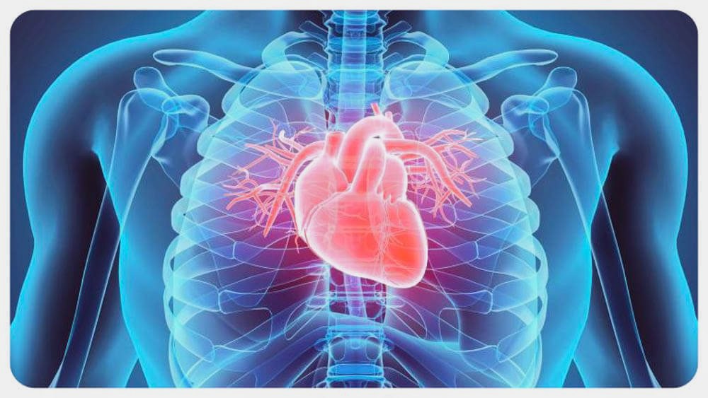 Перші симптоми проблем із серцем – коли потрібно звернутись до кардіолога